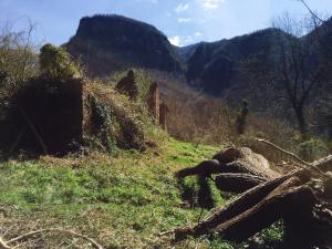 11079128_10155423034635077_836565010_n