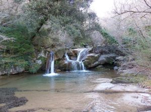 garrotxa 1