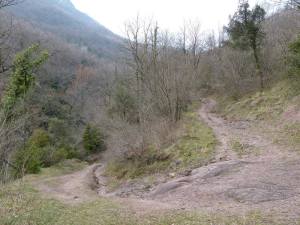 garrotxa 8