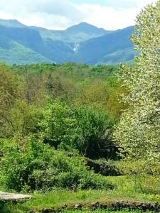 salt sallent des d olot